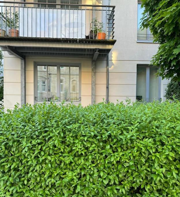 Gemuetliches Apartment Im Herzen Detmolds 외부 사진
