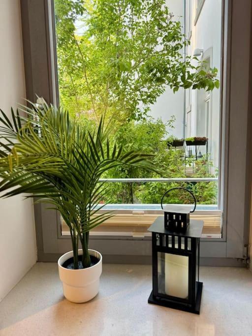 Gemuetliches Apartment Im Herzen Detmolds 외부 사진