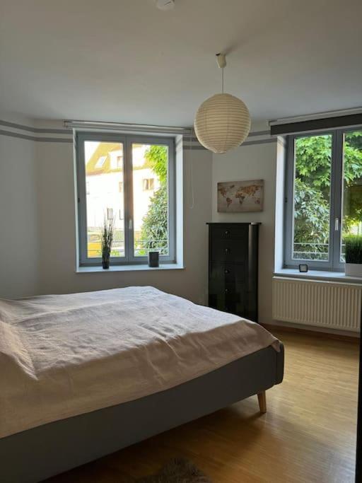 Gemuetliches Apartment Im Herzen Detmolds 외부 사진
